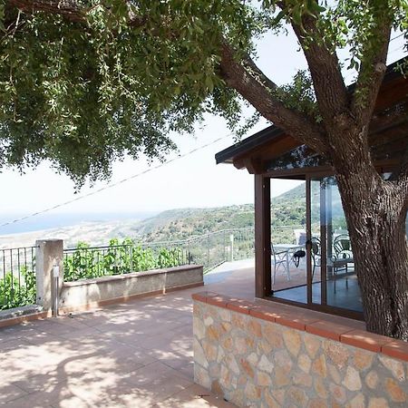 B&B Le Rose Del Tirreno Фалерна Екстериор снимка