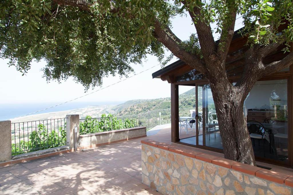 B&B Le Rose Del Tirreno Фалерна Екстериор снимка