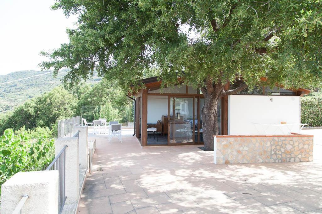 B&B Le Rose Del Tirreno Фалерна Екстериор снимка